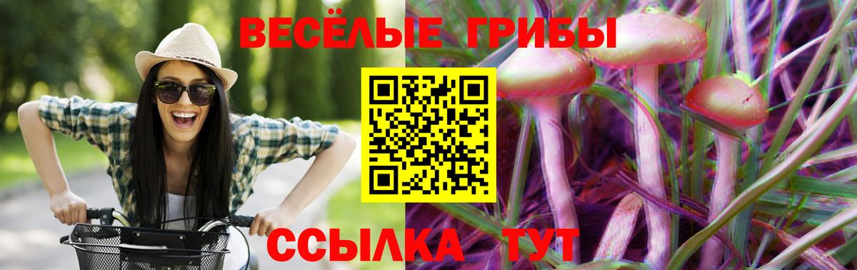 Псилоцибиновые грибы мицелий  Вход с VPN  Тара 